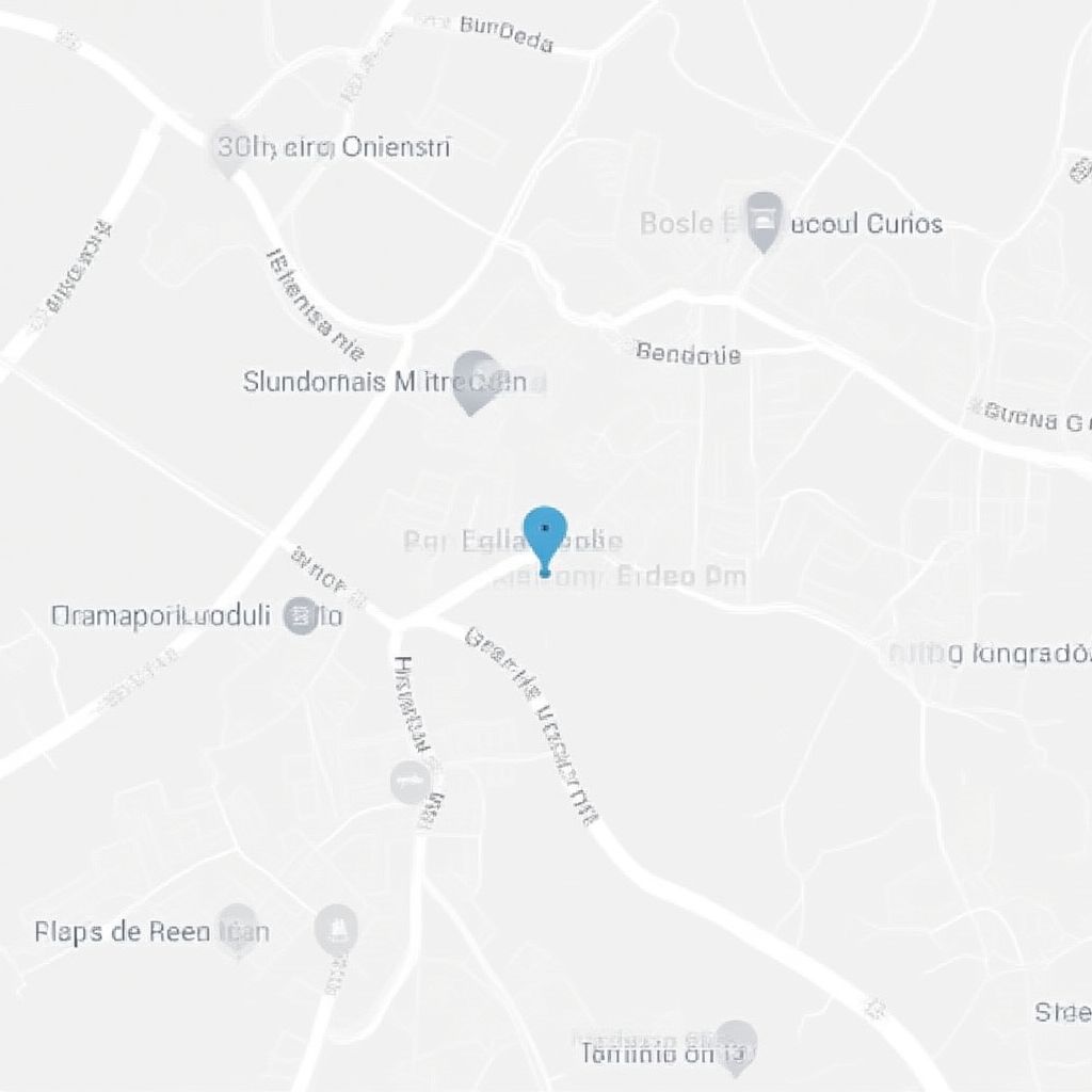 Mapa de nuestra ubicación